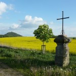 Krajina v okolí Máchova jezera